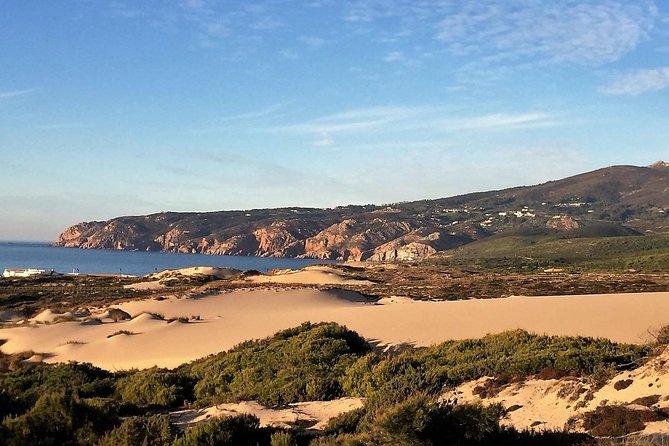Private tour - The Beautiful Cascais - What to know before you go: timing, walking, and comfort