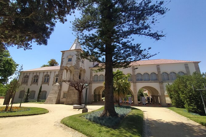 Private Tour to Évora with Wine tasting - Fitapreta Vinhos: wine tasting with Alentejo country character