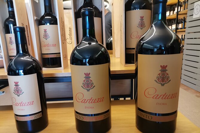 Private Tour to Evora with wine tasting at the Cartuxa Winery - Évora First: Temple of Diana Sets the Tone Fast