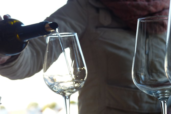 Private Tour to Evora with wine tasting at the Cartuxa Winery - Timing, Pace, and How to Make It Feel Less Rushed