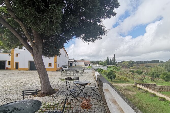 Private Tour to Evora with wine tasting at the Cartuxa Winery - Getting There: The Value of Private Transfers (and a Real Start Time)