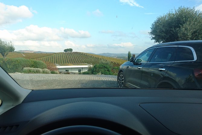 Private Transfer Between Lisbon, Porto, or Algarve - What the 3 to 4 Hour Highway Ride Really Feels Like