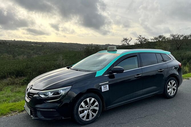 Private Transport in Lisbon - Private pickup from your hotel, not the chaos of getting started