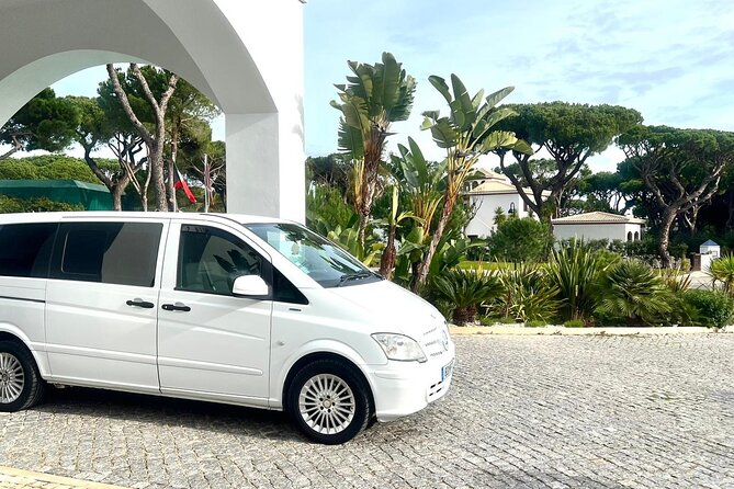 Private Transport in Lisbon - Who this Lisbon private transport suits best