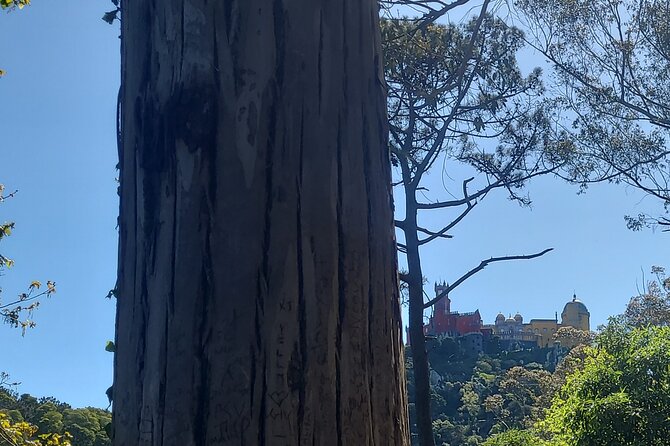 Private Tuk Tuk Tour around Magical Sintra and Coastline - Pena Park to the National Palace viewpoint: myths and quick photo windows
