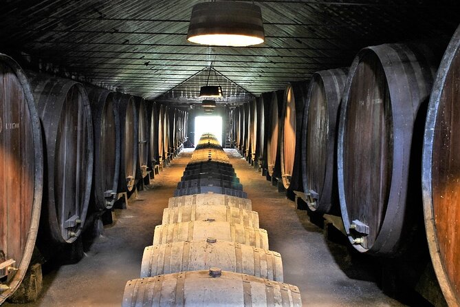 Private Wine Tasting in the Setúbal Wine Region, from Lisbon - Pickup, Timing, and How to Plan Your 9:30 Start