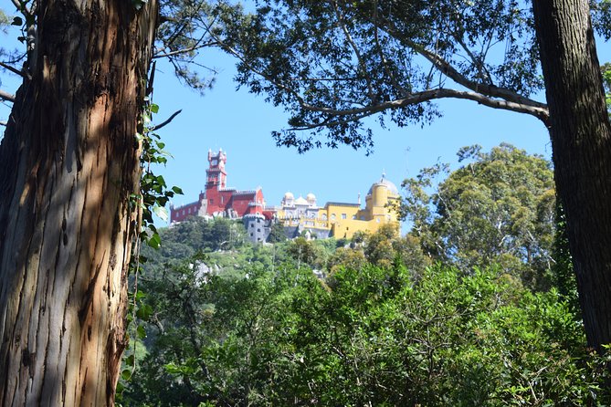 Quick visit to Sintra town from Lisbon Private Tour - Half day - Value for about $160: comfort, access, and what you still pay