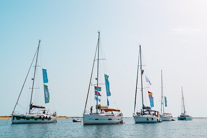 Sailing Experience in Lisbon - Portugal - Stop 5: Where the river meets the ocean, plus a chance to jump in