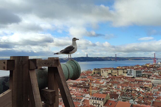 Saint George Castle Guided Tour from Lisbon - Price and logistics: what your $59.29 really buys
