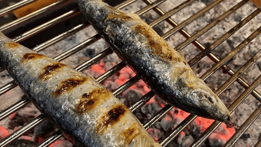 Saints on the Tagus: Traditional Festival with Taste & Music - 9pm Stand-Up and the 10pm Live Music Switch