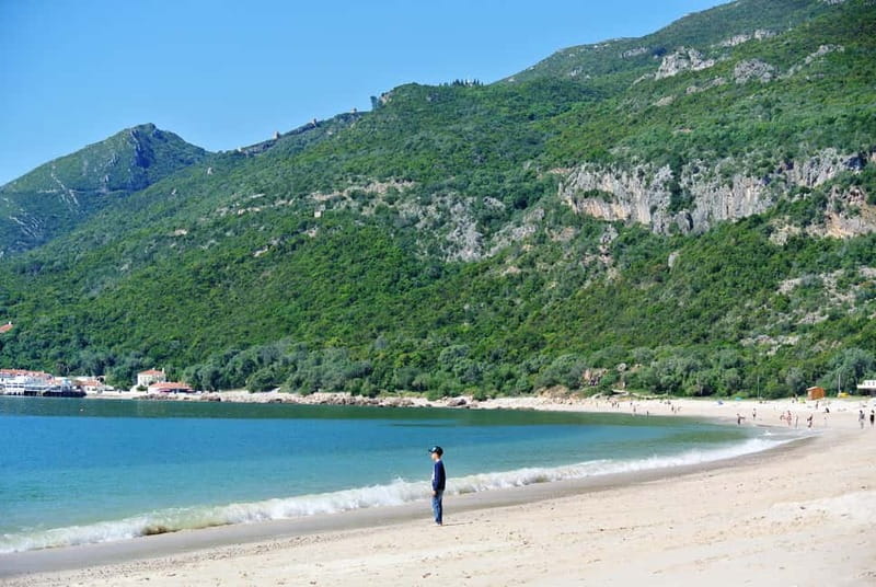 Sesimbra & Arrábida National Park Tour with 5 Wines Tasting - Key highlights worth your time