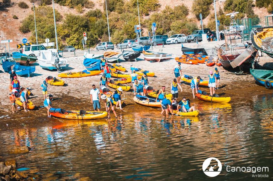 Sesimbra: Arrábida Natural Park Guided Kayaking Tour - Price and what $47 buys you in real terms
