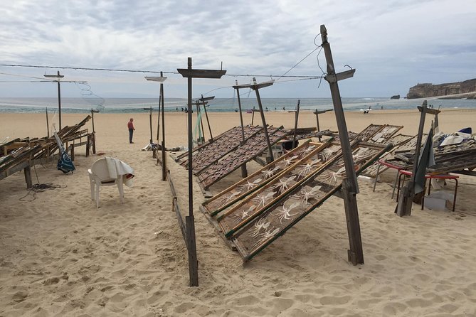 Sesimbra, Azeitao and Setubal Private Tour with Wine Tasting - Price and Value, Plus What Costs Extra