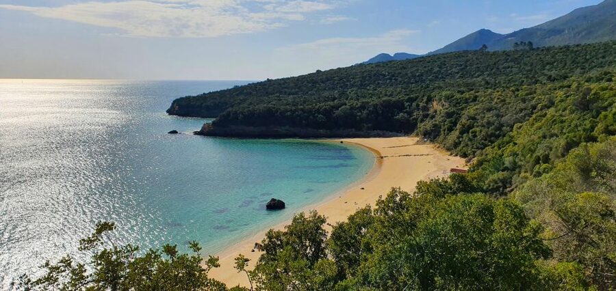 Sesimbra e Arrábida Natural Park: 1 Day Tour & Wine Tasting - Head Down the Coast: Costa Azul and Costa of Lagoons