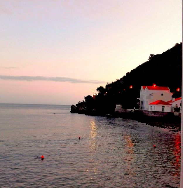 Sesimbra e Arrábida Natural Park: 1 Day Tour & Wine Tasting - Lunch by the Sea: What to Expect and What to Order