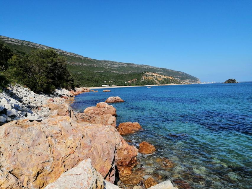 Sesimbra e Arrábida Natural Park: 1 Day Tour & Wine Tasting - Wine Tasting in the Castle: Moscatel, Views, and Real Production