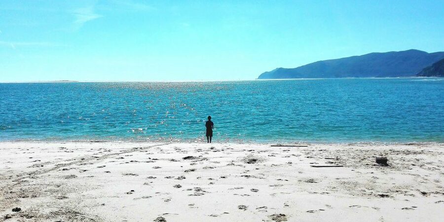 Sesimbra e Arrábida Natural Park: 1 Day Tour & Wine Tasting - Crossing Ponte 25 de Abril, and the Tejo Estuary Is the Real Warm-Up