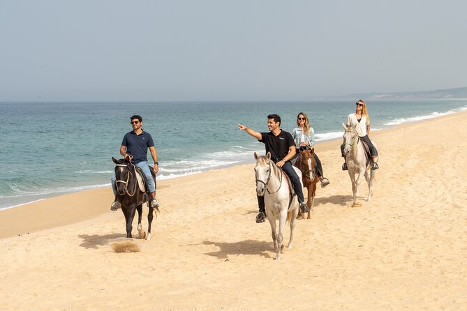 Setubal & Comporta Trip with Horseback Riding from Lisbon - Meeting point and timing, so you do not lose the day