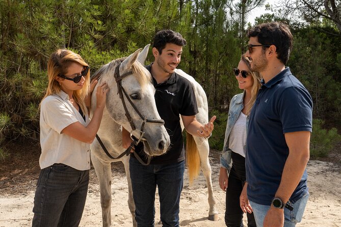 Setubal & Comporta Trip with Horseback Riding from Lisbon - Setúbal walk and the food culture stop