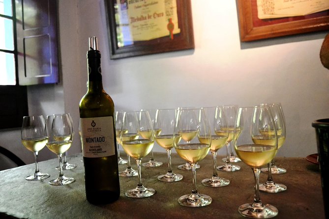 Setúbal Peninsula Private Wine Tour: Sesimbra, Azeitão and Arrábida - Vasco da Gama Bridge: A Transit Moment That Still Helps