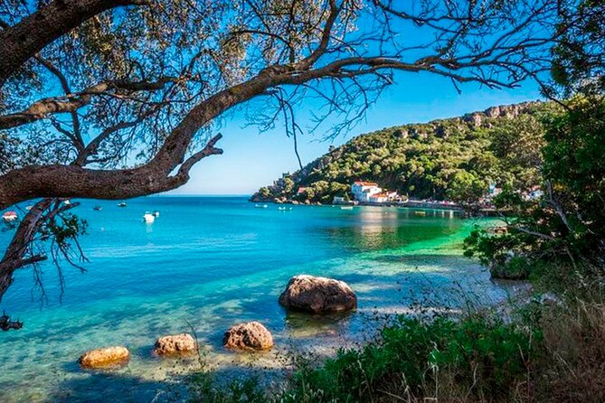 Setúbal Private Tour - Including Dolphin Watching - Smart Booking Tips for a Smooth Day