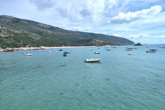 Setúbal,Sesimbra & Palmela - Private tour, Nature & Culture - Price and value: what your $90.31 really pays for