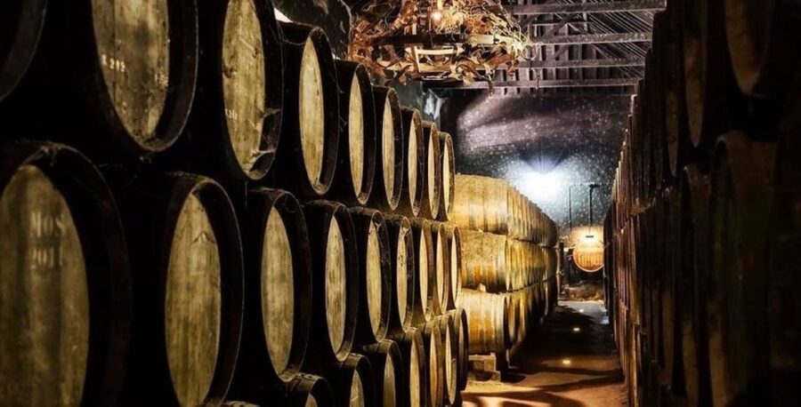 Setúbal Tour, Mountains & Sea, w/ Wine Tasting! FROM LISBON - Arrábida Natural Park: the day’s visual payoff