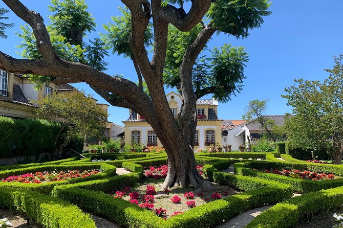 Setúbal Wine Tour with Visit and Tasting at 2 Wineries - Why a Setúbal wine tour works so well from Lisbon