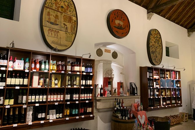 Setúbal Wine Tour with Visit and Tasting at 2 Wineries - Stop 2: Bacalhôa Vinhos de Portugal in Azeitão, the hexagon building and big-cellar feel