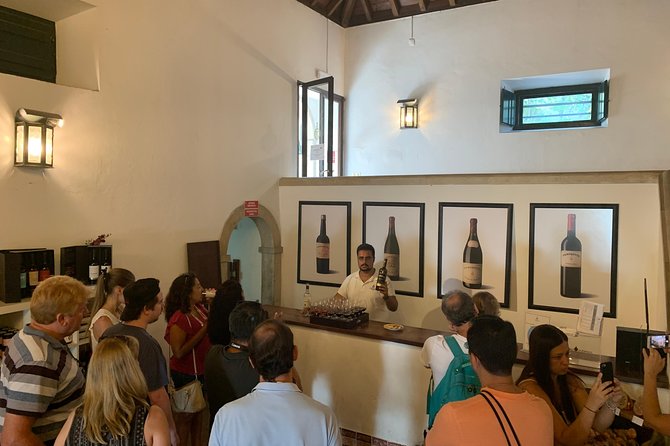 Setúbal Wine Tour with Visit and Tasting at 2 Wineries - Guides can make or break the day, and this one has strong names