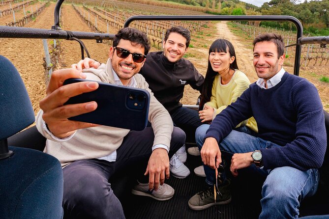 Setúbal: Winery & Fish Market Tasting Tour from Lisbon - Who this tour suits best