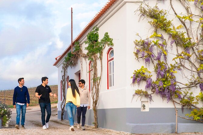 Setúbal: Winery & Fish Market Tasting Tour from Lisbon - FAQ