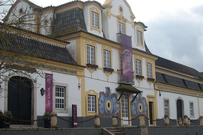 Setubal Winery Private Tour including Lunch at Sesimbra Beach - Small-Group Private Touring: How the Guide Changes Everything