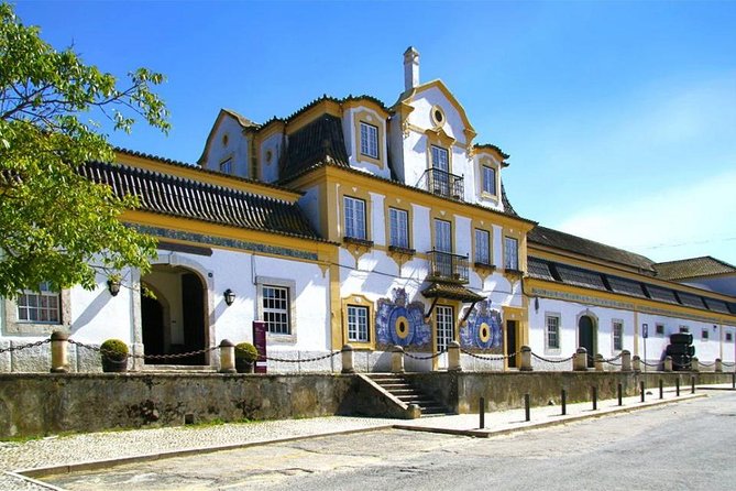 Setubal Winery Private Tour including Lunch at Sesimbra Beach - Practical Tips for Your Tasting Day