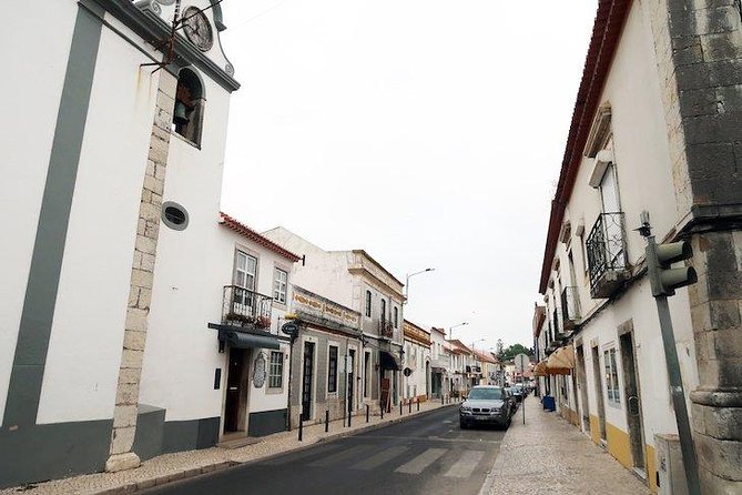 Setubal Winery Private Tour including Lunch at Sesimbra Beach - Wineries and a Possible Distillery Stop