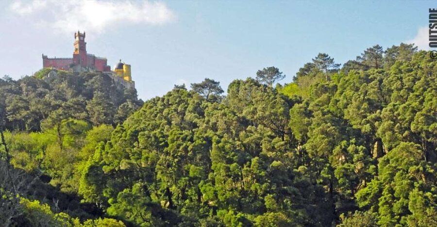 Sintra: 3.5-Hour Rock Climbing Experience - Why Sintra rock climbing feels different from typical sightseeing