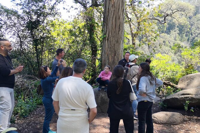 Sintra ALL PALACES - small groups (2-6pax) PRIVATE TOUR - Tickets, timing, and how to avoid the common Sintra stress