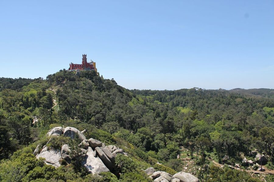Sintra and Cascais: Full-Day Private Sightseeing Tour - Queluz Palace: where royal leisure meets real art and detail