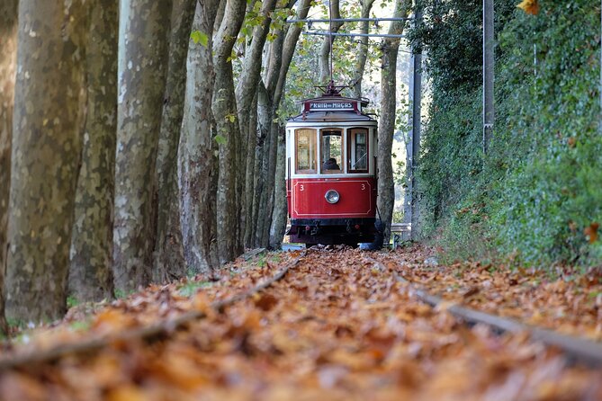 Sintra and Cascais Small Group Full-Day Tour from Lisbon - Quinta da Regaleira: Gothic and Manueline Styles With a Garden You Can Feel