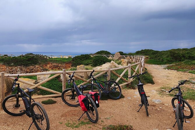 Sintra & Cascais de E-Bike Tour - Quinta da Regaleira and Sintra Natural Park views