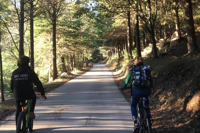 Sintra & Cascais e-bike Guided Tour - Colares and Sintra-Cascais Natural Park, where the coast starts calling
