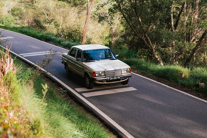 Sintra & Cascais Full Day - Private Tour in Classic Car - Why This Classic Car Day Feels Different in Sintra