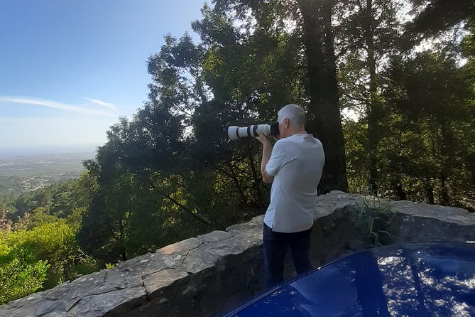 Sintra & Cascais: Private Tour Pena Park & Regaleira Included - Price and value: what $237.35 per person is buying