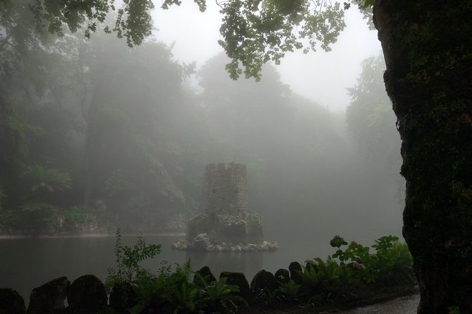 Sintra Encantada Private Tour - Village Palace and Pena Palace - Pickup, Comfort, and the Driver That Makes It Work