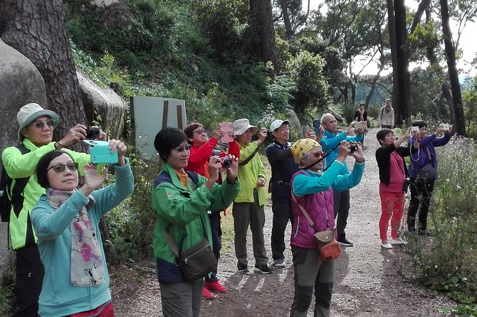 Sintra Full-Day: Pena, Moorish Castle & Regaleira with Tickets - Centro Historico de Sintra: quick medieval flavor and travesseiros
