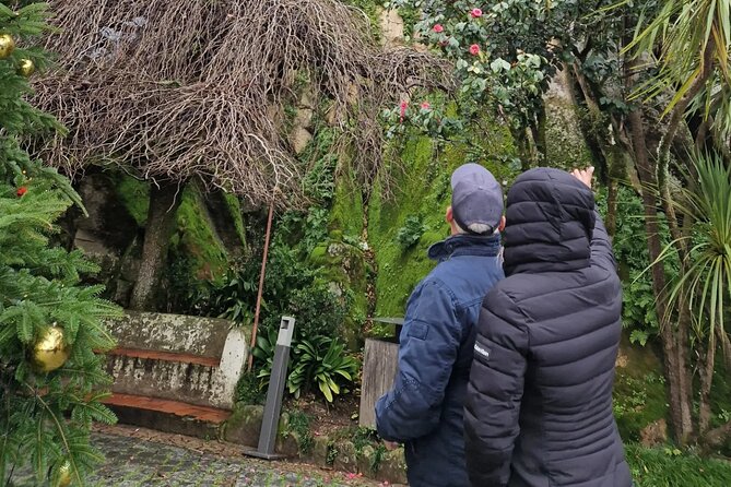 Sintra full day Private Tour - What to wear, how much you will walk, and when to choose a slower plan