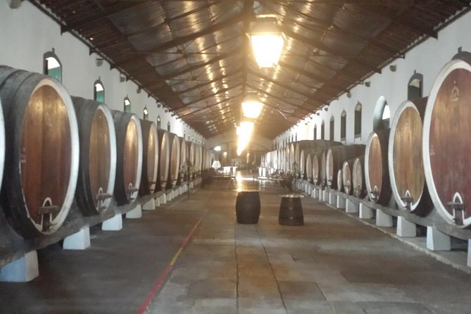 Sintra Full Day Private Wine Experience with Tastings from Lisbon - Stop 1 in Sintra: walking the UNESCO town at a human pace