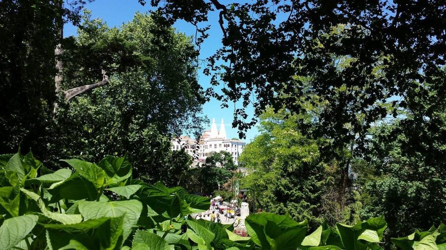 Sintra: Full-Day Tour from Lisbon with Wine Tasting - From Lisbon Hotel Pickup to UNESCO Sintra Town