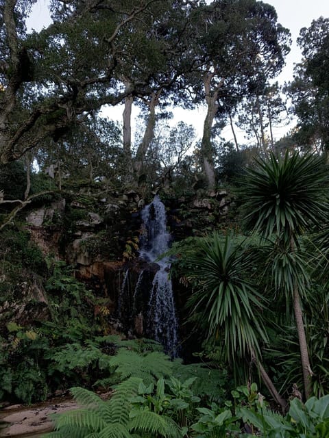 Sintra Highlights: Private Local Tour - Palaces & Views - Cascais timing: beaches and a change of pace after palaces