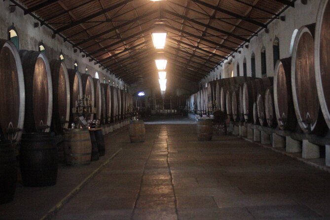 Sintra Jeep Adventure – Wine, Food & Freedom - Sácário tapas and the four-wine tasting: the food-and-wine core